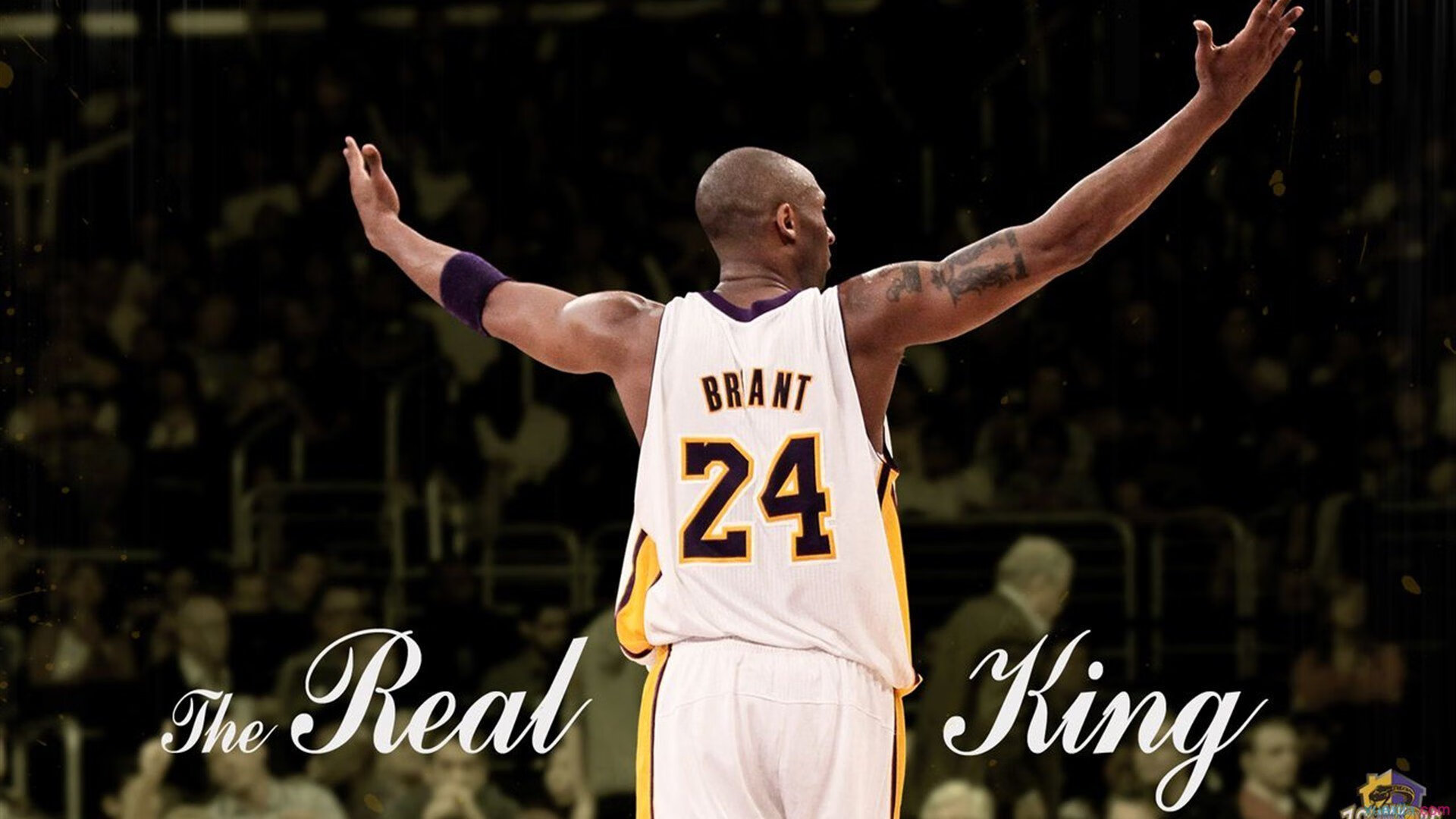 C9内部调整加强选手沟通